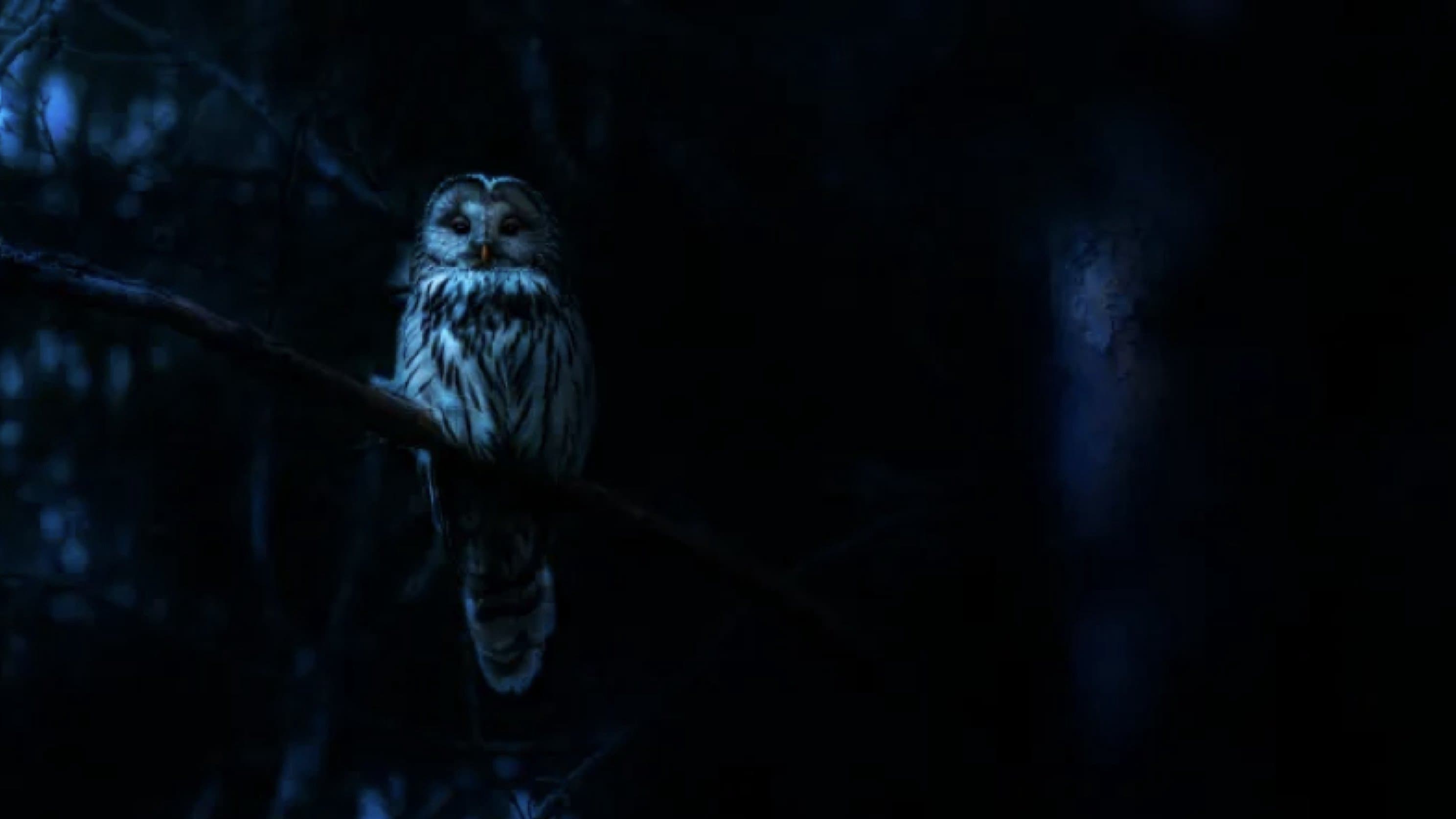 Ác Mộng Của Thiên Nhiên