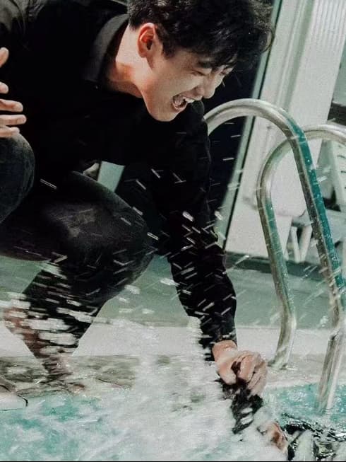 Bảy Chị Tiên Nữ Của Tôi