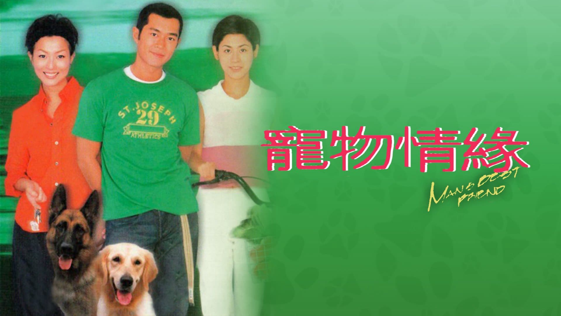 Chú Chó Thông Minh