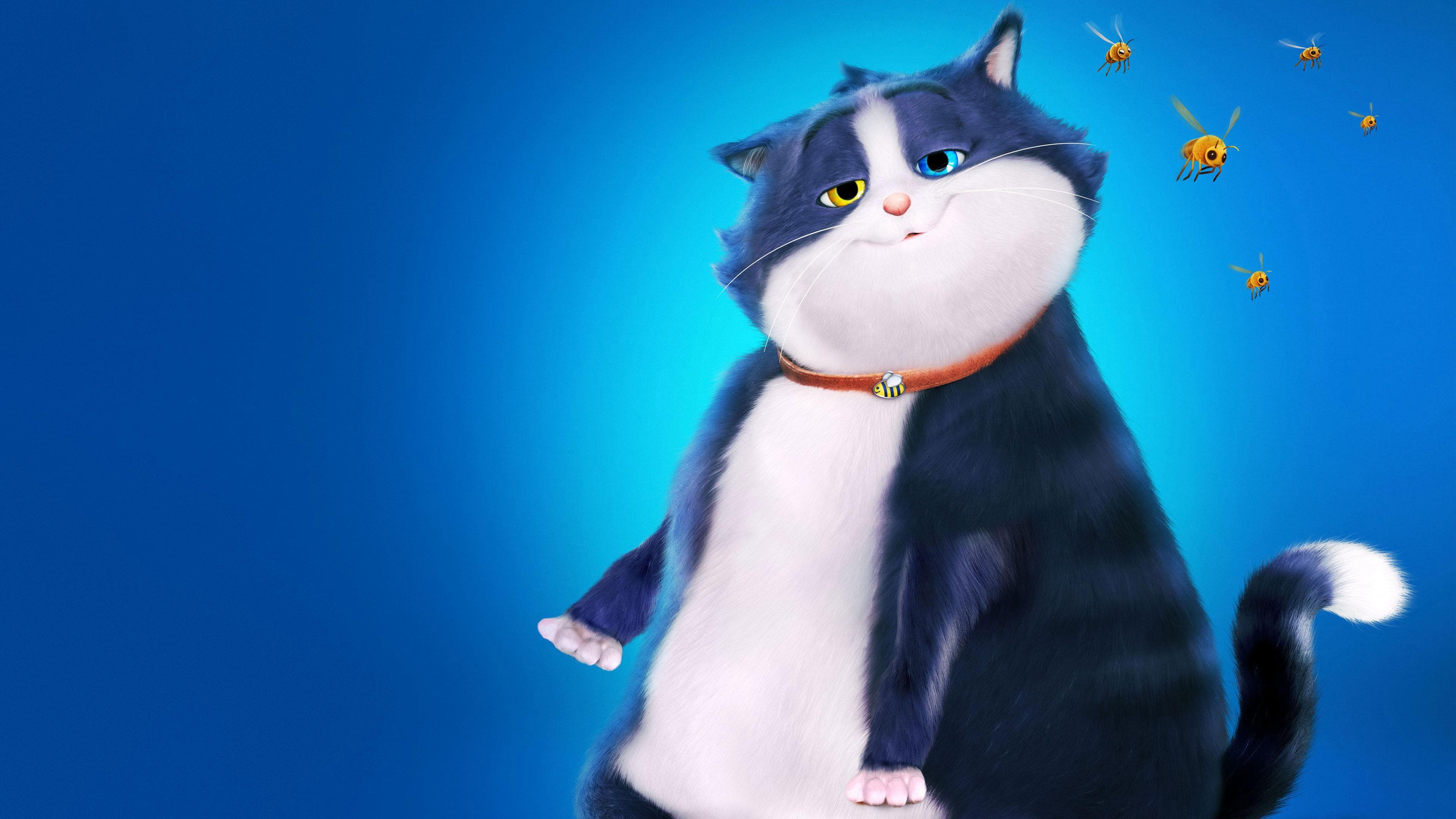 Mèo Mập Mang 10 Mạng