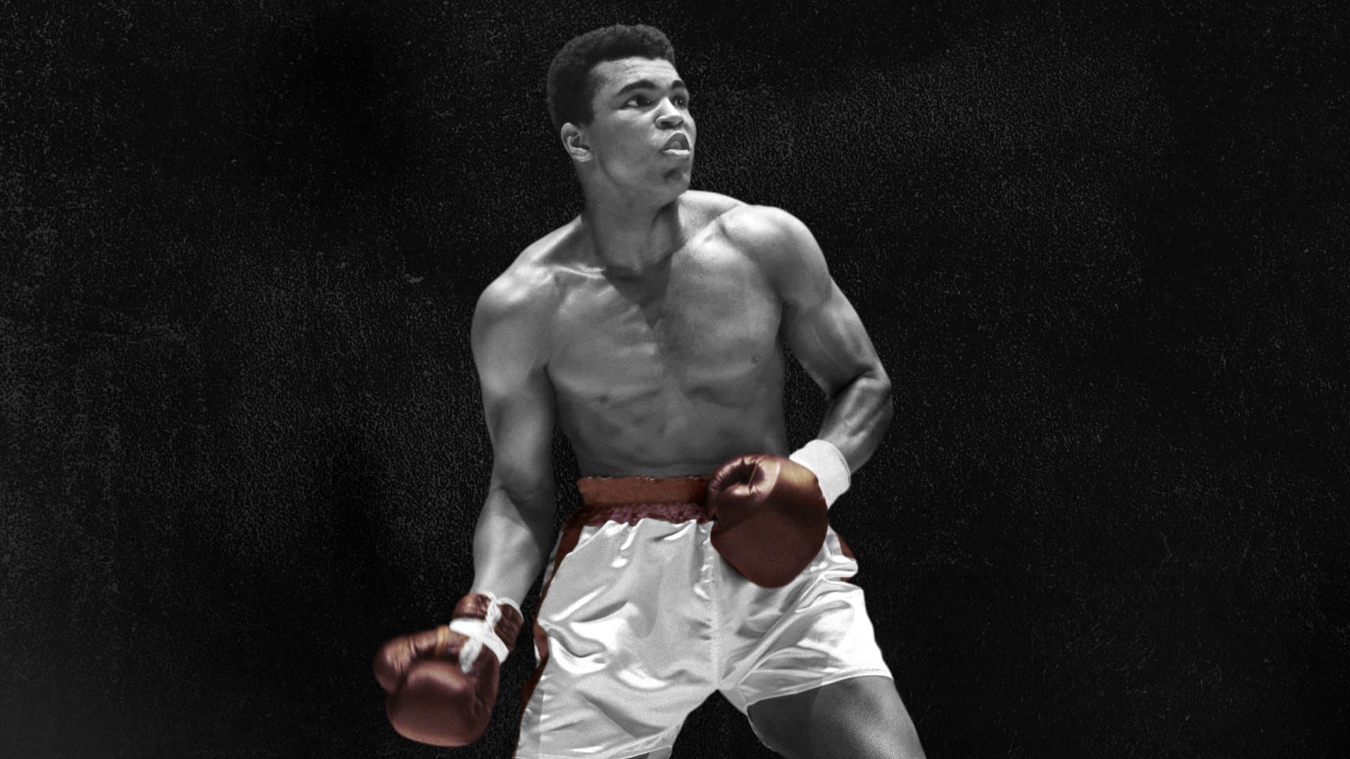 Tên Tôi Là Muhammad Ali