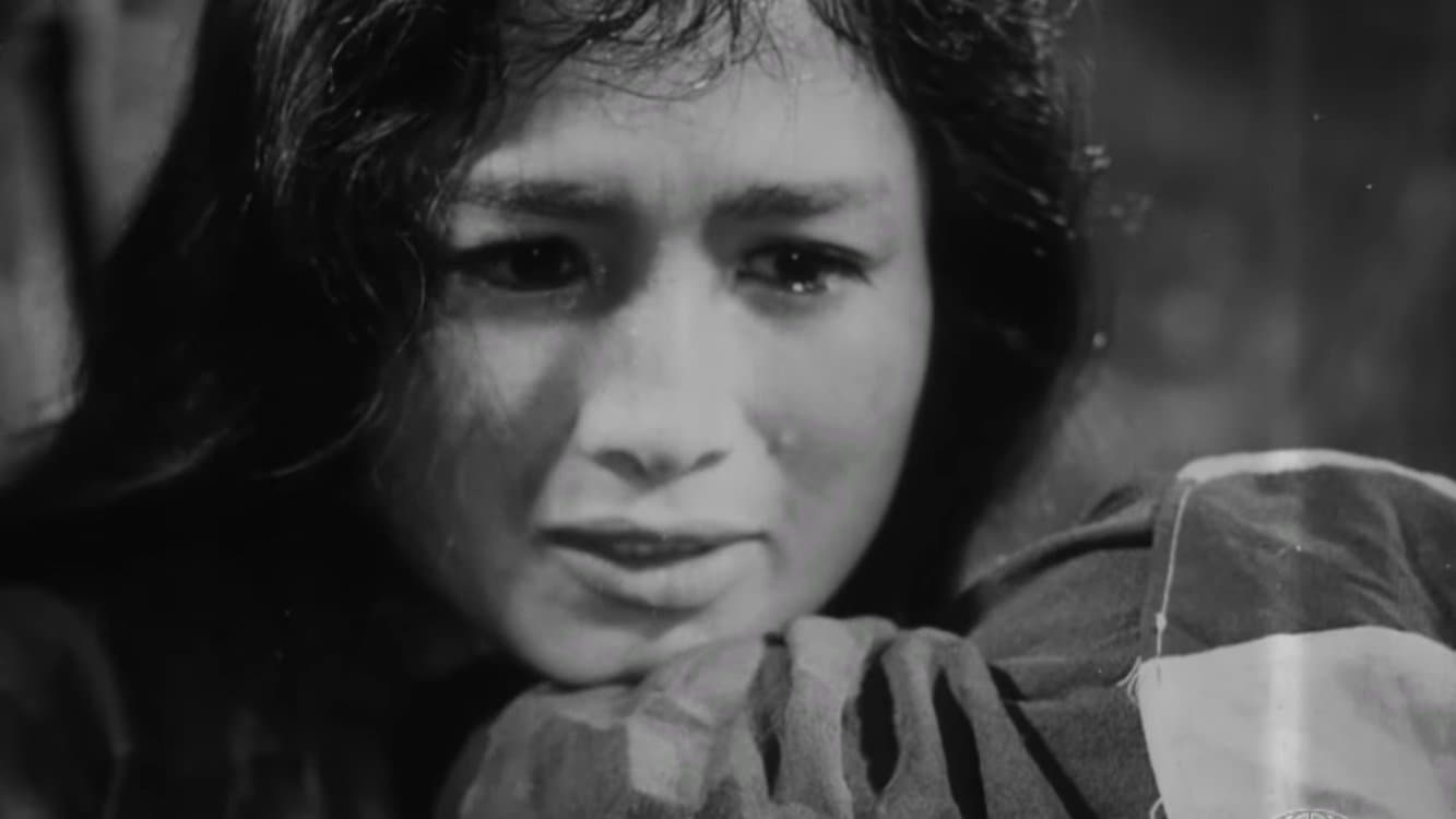 Vĩ Tuyến 17 Ngày Và Đêm