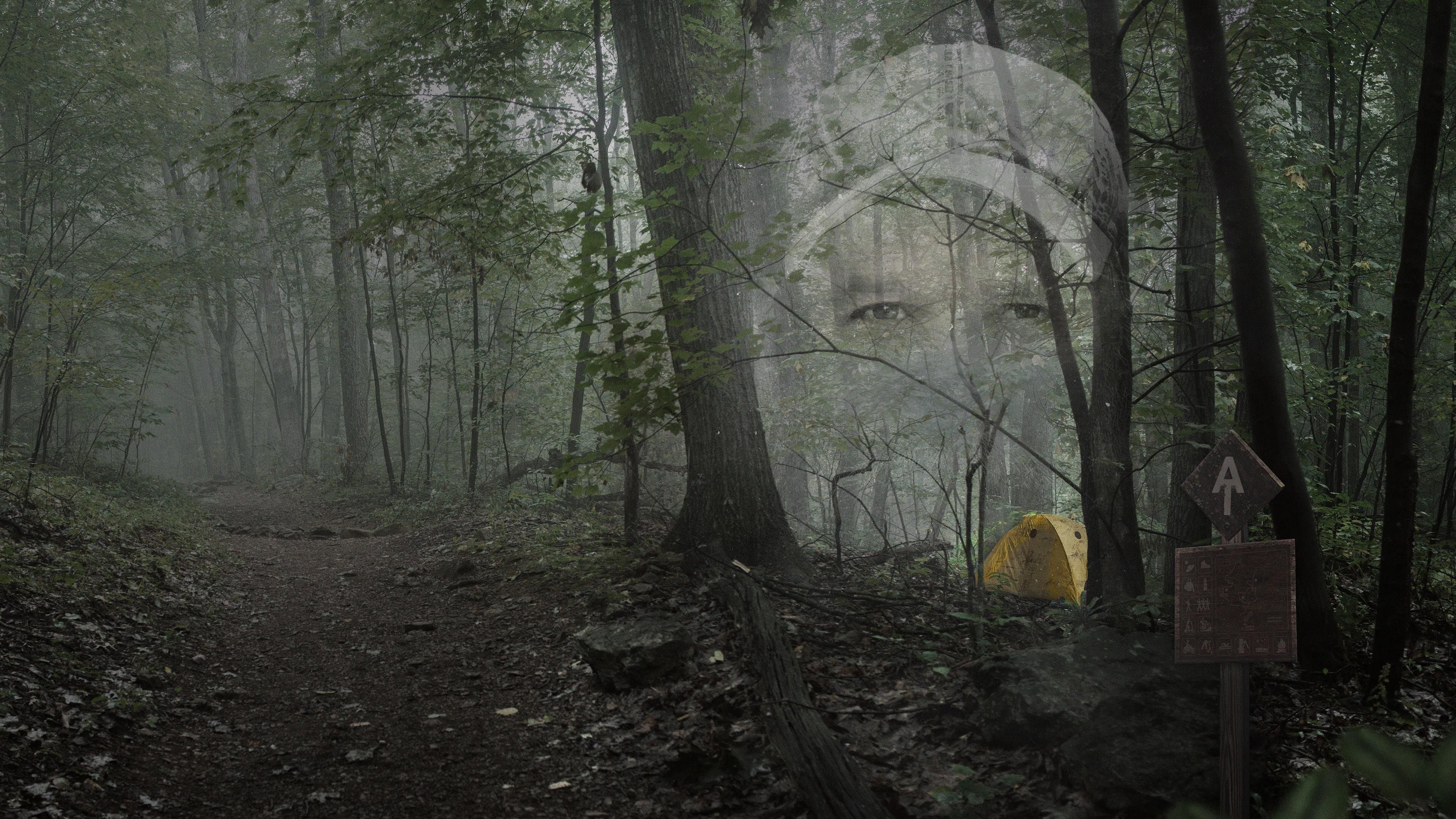 Họ Gọi Anh Ta Là Gần Như Vô Hại